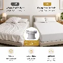 ChatGPT Image 4 مايو 2026، 01_53_47 ص.webp